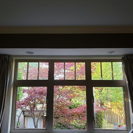 Elegant, Sunny Modern Home With Skylights - Kitsilano, Βανκούβερ Εξωτερικό φωτογραφία